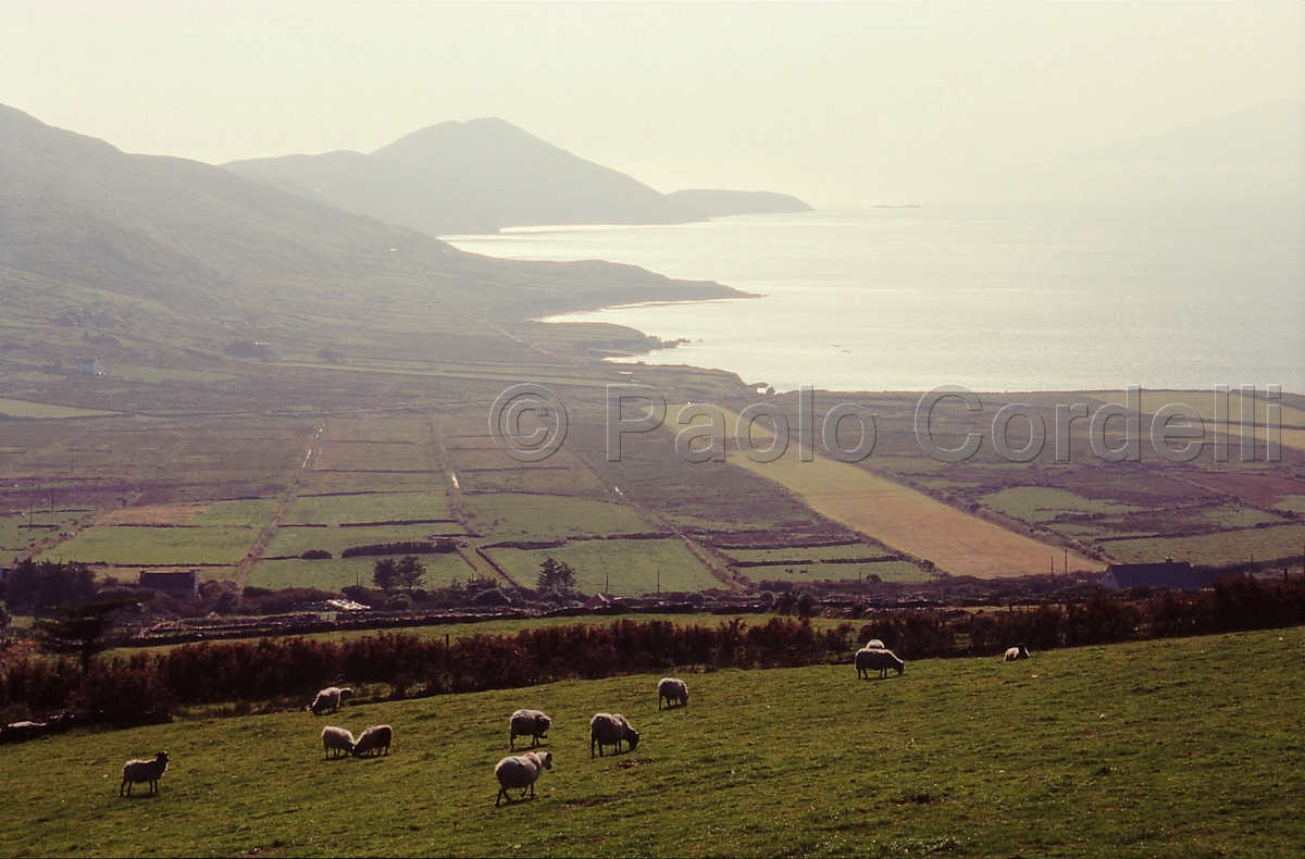 Ring of Kerry, County Kerry, Ireland
 (cod:Ireland 25)